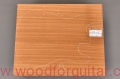 pieczone-ayous-korpus-gitary-woodforguitar_129.JPG