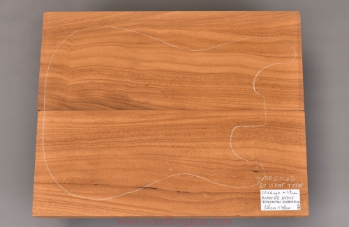 pieczone-ayous-korpus-gitary-woodforguitar_141.JPG