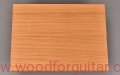 pieczone-ayous-korpus-gitary-woodforguitar_162.JPG