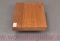 pieczone-ayous-korpus-gitary-woodforguitar_199.JPG