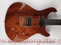 Winston guitar body front 1.JPG