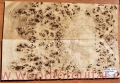 topola-czeczota-poplar-burl-guitar-top-9-25