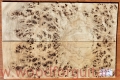 topola-czeczota-poplar-burl-guitar-top-9-26