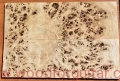 topola-czeczota-poplar-burl-guitar-top-9-27