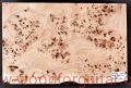topola-czeczota-poplar-burl-guitar-top-9-1
