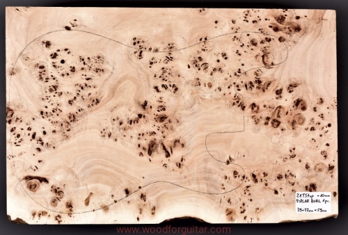 topola-czeczota-poplar-burl-guitar-top-9-1
