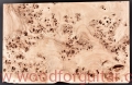 topola-czeczota-poplar-burl-guitar-top-9-2