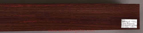 rosewood-palisander-fretboard-odstrunnica-7-1