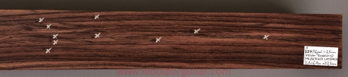 rosewood-palisander-fretboard-podstrunnica-9-11